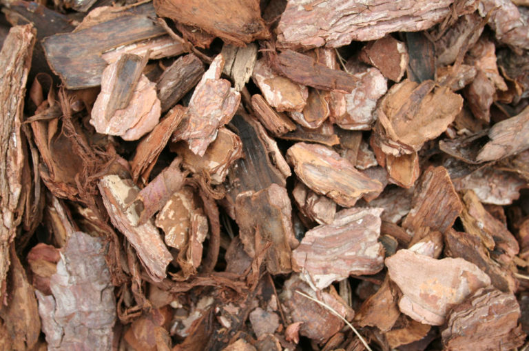 Playground Bark Play Area Bark Madingley Mulch