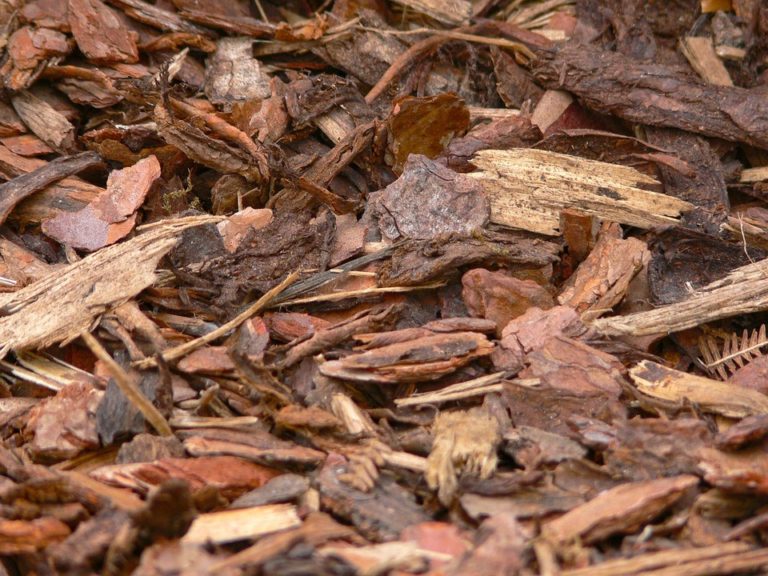 mulch | Madingley Mulch